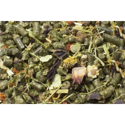 JR FARM UCZTA DLA ŚWINKI MORSKIEJ KAWII DOMOWEJ 1,2kg