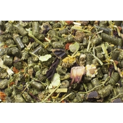 JR FARM UCZTA DLA ŚWINKI MORSKIEJ KAWII DOMOWEJ 2,5kg