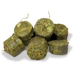 JR FARM GRAINLES ONE KARMA DLA ŚWINKI MORSKIEJ KAWII DOMOWEJ 950G 16136