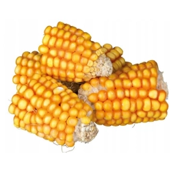 TRIXIE KAWAŁKI KOLBY KUKURYDZY gryzak 300g 60289