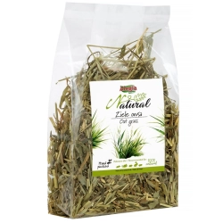 ALEGIA ZIELE OWSA OWIES 80g