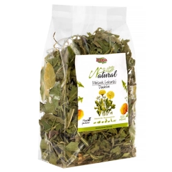 ALEGIA Mniszek Lekarski 90g ziele