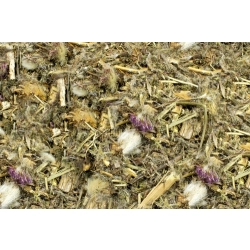 JR FARM OSTROPEST OSET KWIAT 80G przysmak dla szynszyli