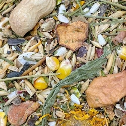 MIXERAMA Farbratten Getreide-Müsli ohne tierisches Eiweiß 500g karma bez białka zwierzęcego dla szczura