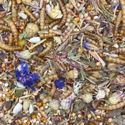 MIXERAMA Zwerghamster Roborowski Gourmet Menü 500g chomik karłowaty