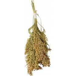 JR FARM PROSO ROZPIERZCHŁE KŁOS 100g