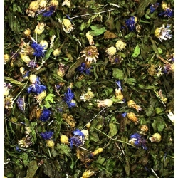 JR FARM BABKA LANCETOWATA I CHABER 100g 07103