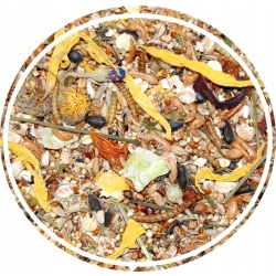 MIXERAMA SPOTTED MOUSERYS 500g KARMA DLA MYSZY