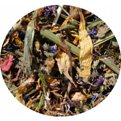 MIXERAMA ZDROWY GRYZOŃ JELITA ŻOŁĄDEK 100G