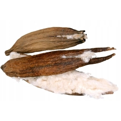 JR FARM STRĄK KAPOK DO BUDOWY GNIAZDA DLA CHOMIKA 1szt