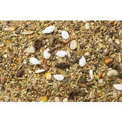 JR FARM KARMA UCZTA CHOMIKA KARŁOWATEGO 600g 13680