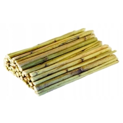 HAM-STAKE TOPINAMBUR PĘDY ŁODYGI 13cm 100g HS.49