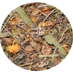 MIXERAMA ZDROWY GRYZOŃ ZIOŁA NA PRZEZIĘBIENIE 100G