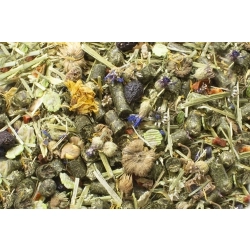 JR FARM UCZTA DLA SZYNSZYLI 1,2kg