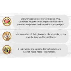 Bunny Chinchilla Dream Basic 600g karma dla szynszyli