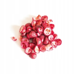 ALEGIA LOFFKI żurawina liofilizowana 20g naturalny smakołyk