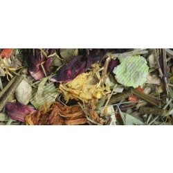 NATURAL-VIT KORONA NATURY Pokarm Szynszyla 1,6kg