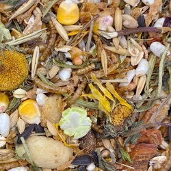 MIXERAMA Mittelhamster FAIRYTALE 500G karma dla chomików syryjskich