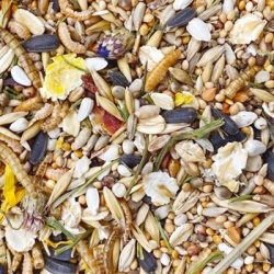 MIXERAMA FARBMAUSE SPOTTED MOUSERY 500g karma dla myszy