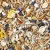 MIXERAMA FARBMAUSE SPOTTED MOUSERY 500g karma dla myszy