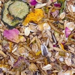 MIXERAMA Mittelhamster Gourmet Menu 500G