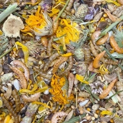 MIXERAMA ZWERGENZAUBER 500g chomik karłowaty