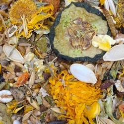 MIXERAMA PREMIUM Gemüse & Blüten 2,5kg karma dla szczura