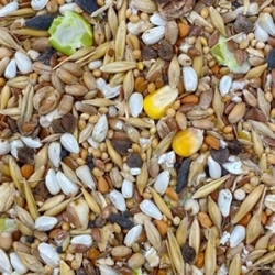 MIXERAMA FARBRATTEN BASISMISCHUNG  2,5kg karma dla szczura bez białka zwierzęcego
