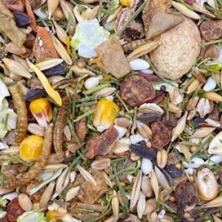 MIXERAMA Getreide Müsli 2,5kg karma dla szczura