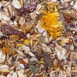 MIXERAMA MITTELHAMSTER GOLDRAUSCH 500G karma dla chomika syryjskiego