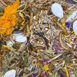 MIXERAMA CAMPBELL GOURMET MENU 2,5kg karma chomik karłowaty