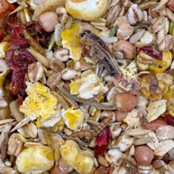 MIXERAMA PAPPEL MISCHUNG 2,5kg karma dla szczura seniora