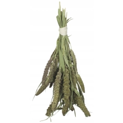 JR FARM ZIELONE KŁOSY PROSA SENEGALSKIEGO 50g