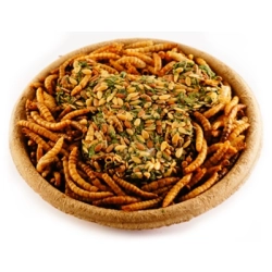 HAM-STAKE PROTEINOWY SMAKOŁYK LARWY MĄCZNIKA I LEN miseczka