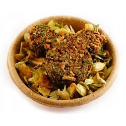 HAM-STAKE PROTEINOWY SMAKOŁYK LARWY MĄCZNIKA BROKUŁ OWOC GŁOGU