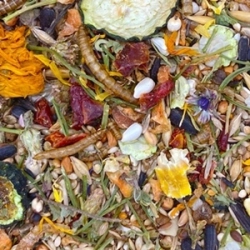 MIXERAMA Rennmäuse Gourmet Menu 500G karma podstawowa myszoskoczek