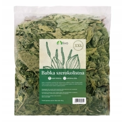 TIVO Babka Szerokolistna 400g opakowanie XXL