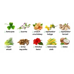 HAM-STAKE Ziółka Konesera Chrupiący Przysmak dla Szczura i Chomika 100g