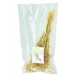 DEGUSKI Kłosy Len 50g Wiechy Bukiet