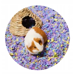 CHIPSI CAREFRESH Pure White ŚCIÓŁKA PODŁOŻE 50l