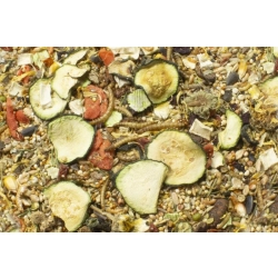 JR FARM Pokarm dla Chomika Syryjskiego 500g