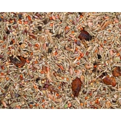 JR FARM KARMA SPECJAŁ CHOMIK SZCZUR 600G 11751