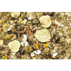 JR FARM POKARM DLA CHOMIKA DŻUNGARSKIEGO 500G