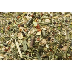 JR FARM UCZTA DLA KOSZATNICZKI DEGU 1,6KG