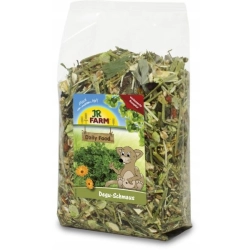 JR FARM KARMA DLA KOSZATNICZKI DEGU 800G