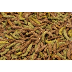 JR FARM GRAINLESS HEALTH COMPLETE ŚWINKA 600G 21800