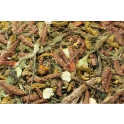 JR FARM GRAINLESS COMPLETE HEALTH MIX ŚWINKA 600G 21802