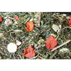 JR FARM GRAINLESS Herbs Świnka morska 400g karma bezzbożowa