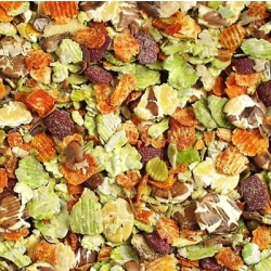 JR FARM WELLNES PŁATKI WARZYW GROCH BURAKI MARCHEW 600g 05569