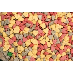 JR FARM DROPSY SERDUSZKA Z BURAKIEM I LUCERNĄ  200g